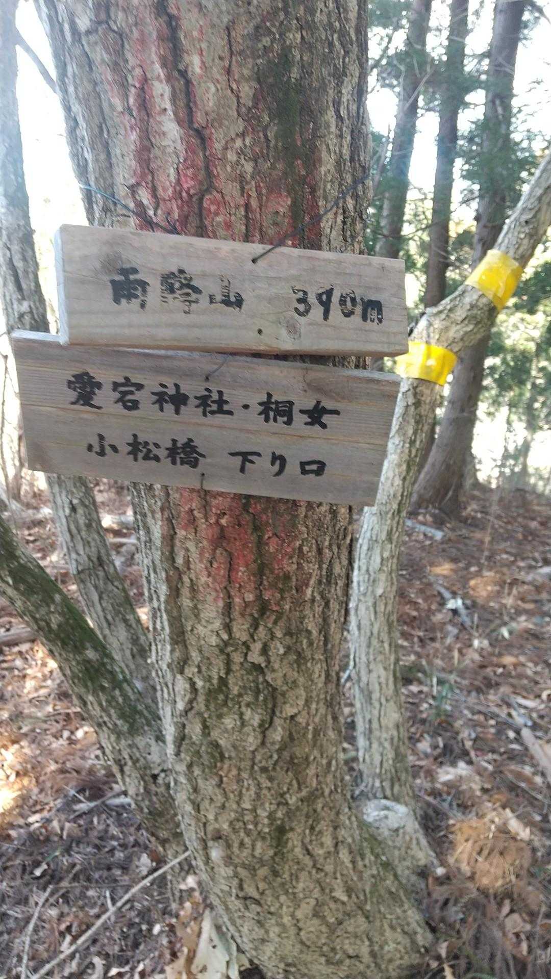 強風で飛んでくる葉っぱも痛いし、これ以上無理😭
Uターンしよ