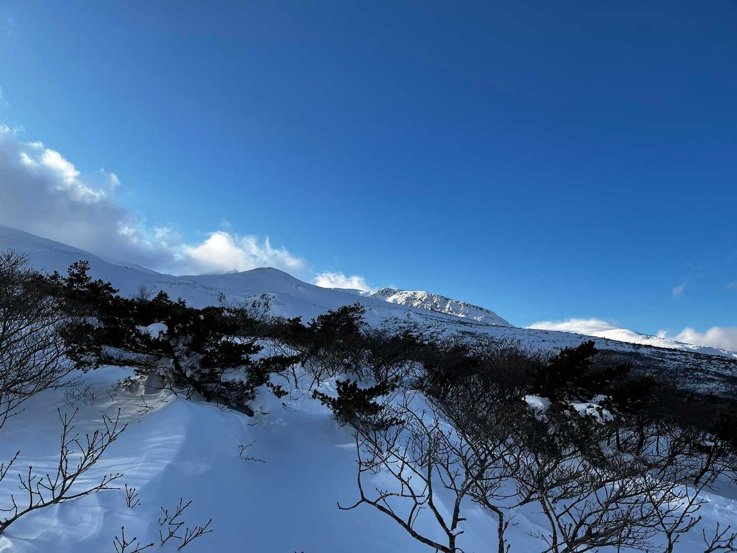 奥岳-薬師岳-安達太良山 往復コースの写真