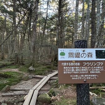「黒曜の森」