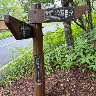 ここから5km舗装道路歩き