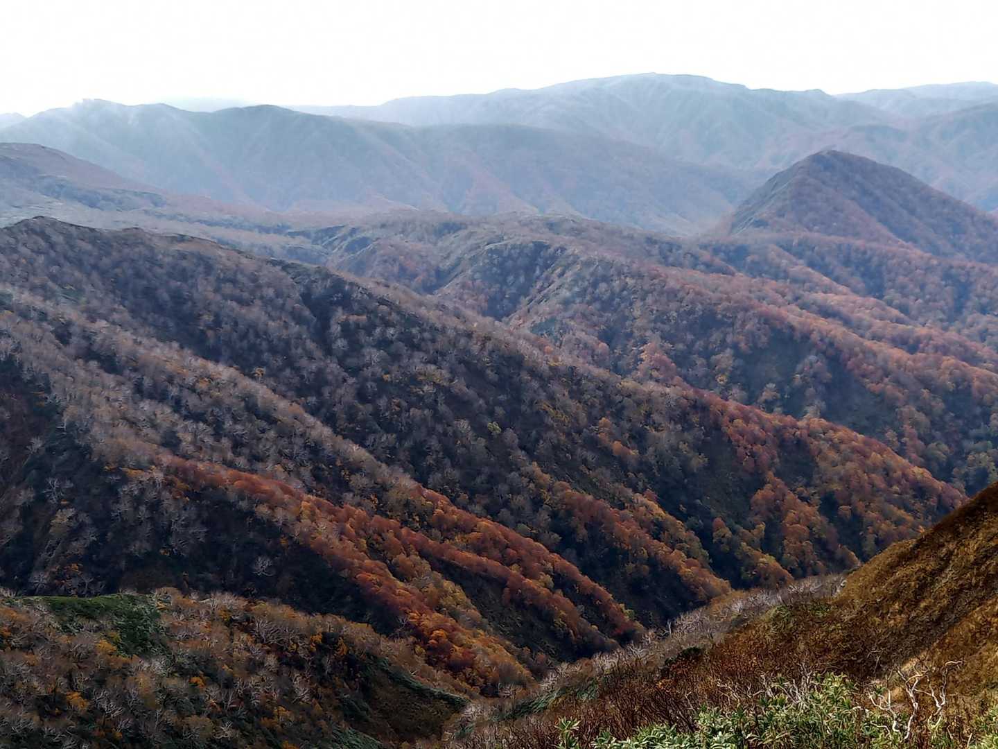 帰りは🍁見ながらで景色も最高