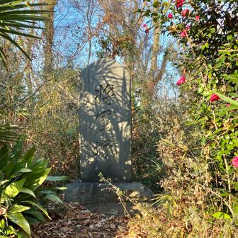 八国山山頂に鎮座する将軍塚