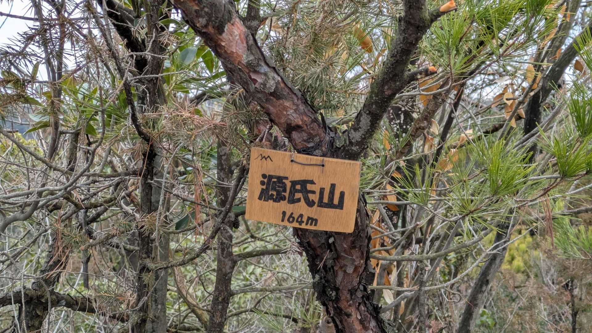 岩国駅-フレスタモールカジル岩国バス停-平家山登山口-岩倉 縦走コースの写真