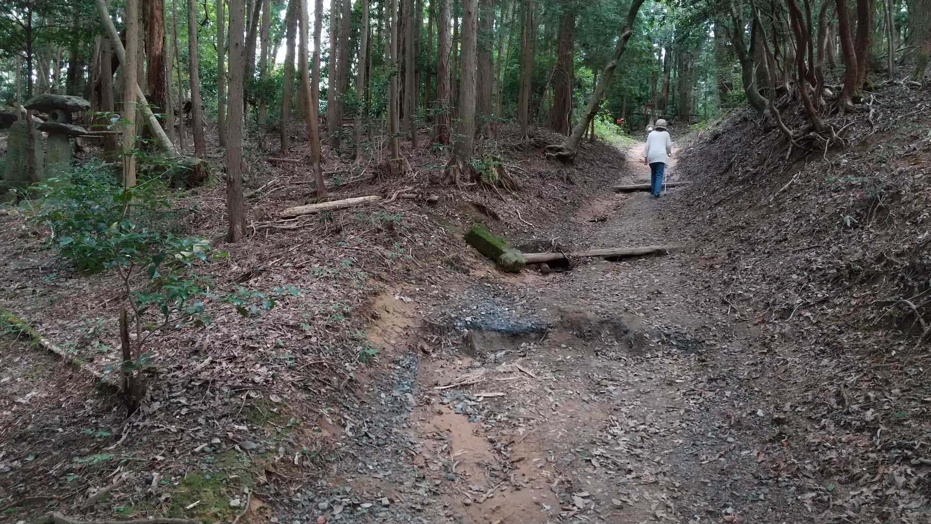 山頂まで、あとすこし。てくてく。