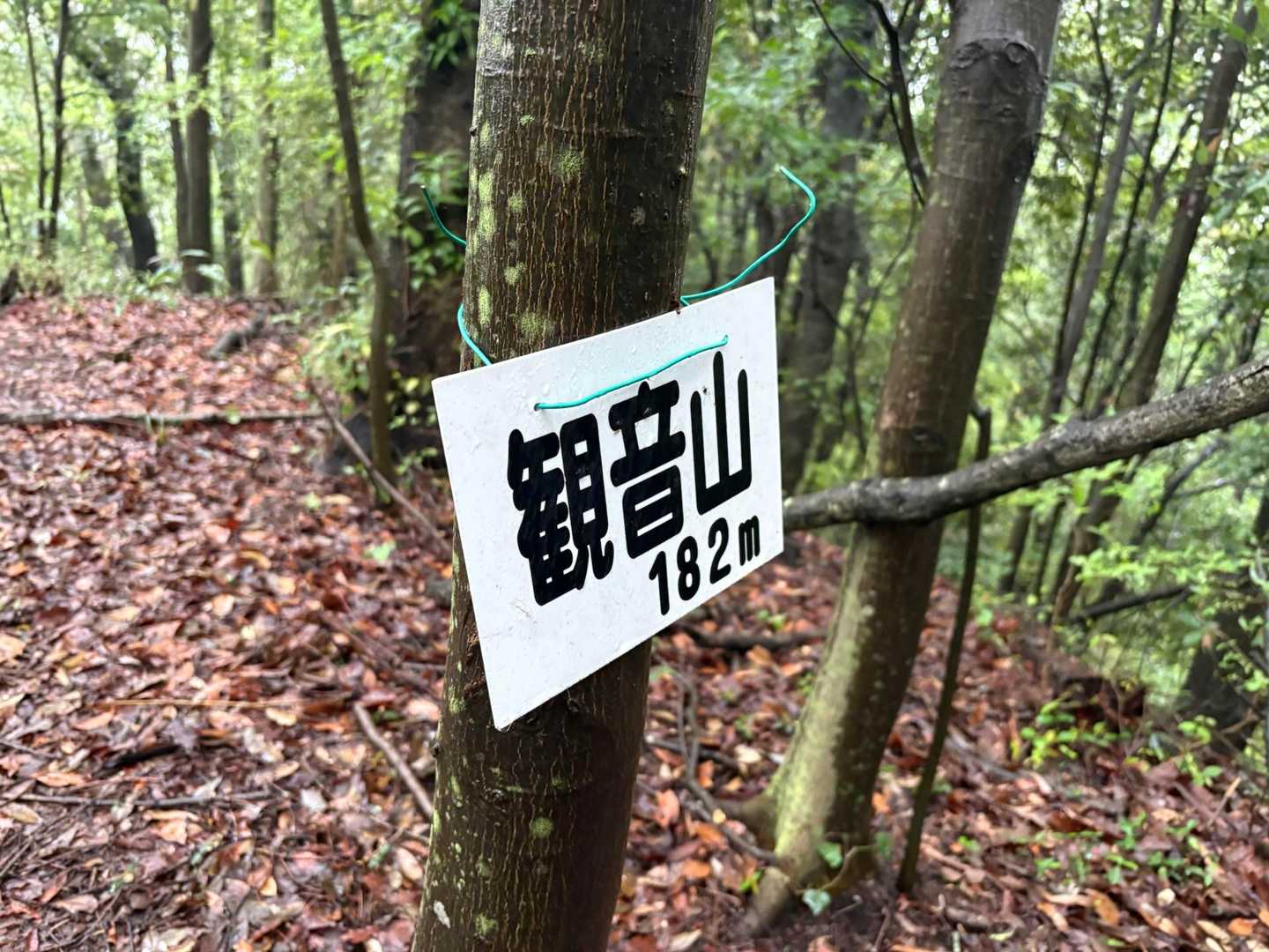 観音山まで戻ってきたw