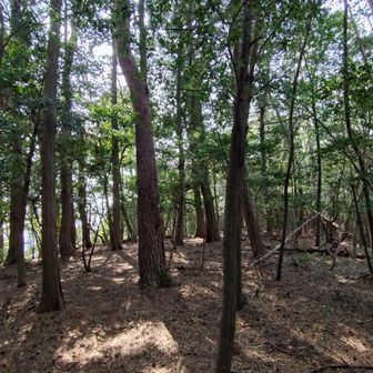 陰山山頂
展望無し