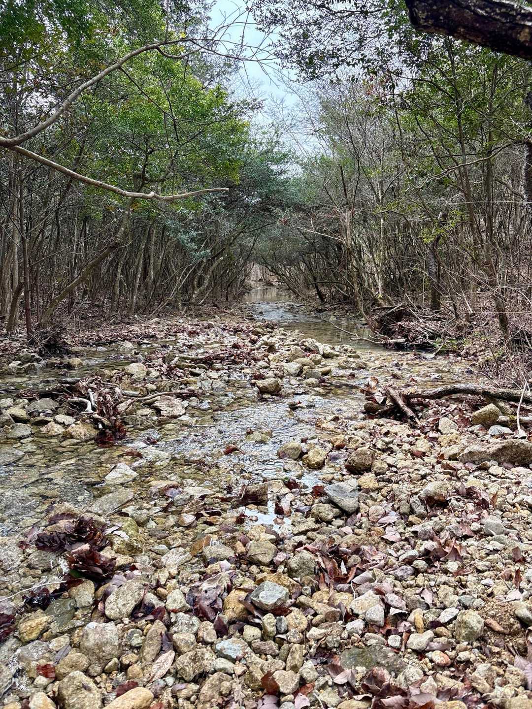 山口登山口-P324-大坂山 往復コースの写真