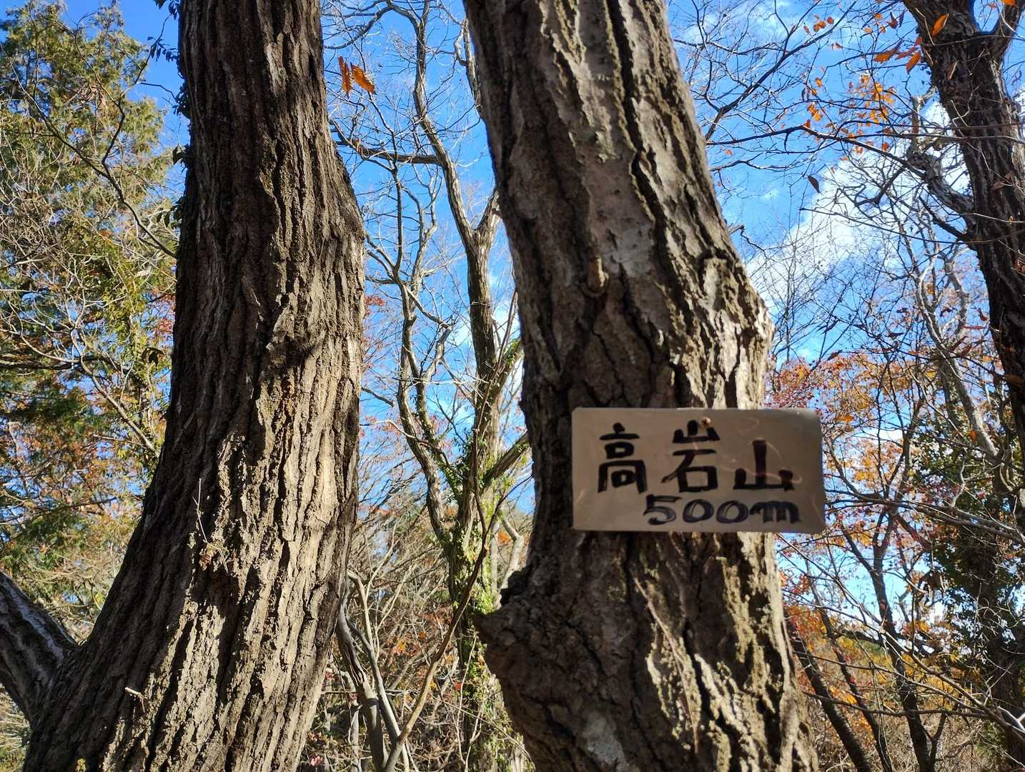 南高尾セブンサミッツの写真