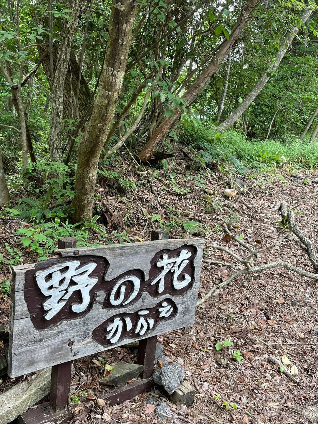 いきなり、道端に車が沢山駐車してあるところに出て…何かと思えば　野の花cafeという金土日営業のcafeあり。
繁盛されてました。
