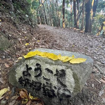 ようやく ここまで😮‍💨ﾌｰ