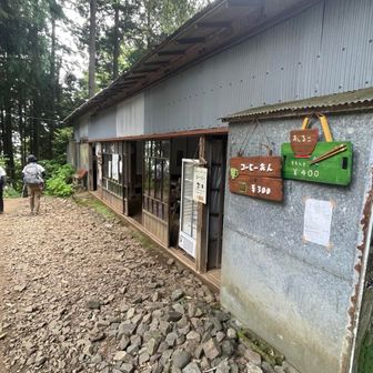 観音茶屋の誘惑に負けず下山続行。
