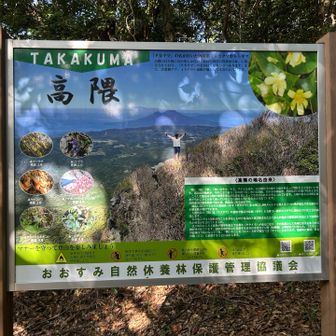 タカクマホトトギスは、見つけられませんでした
御岳側に咲いているのかな？