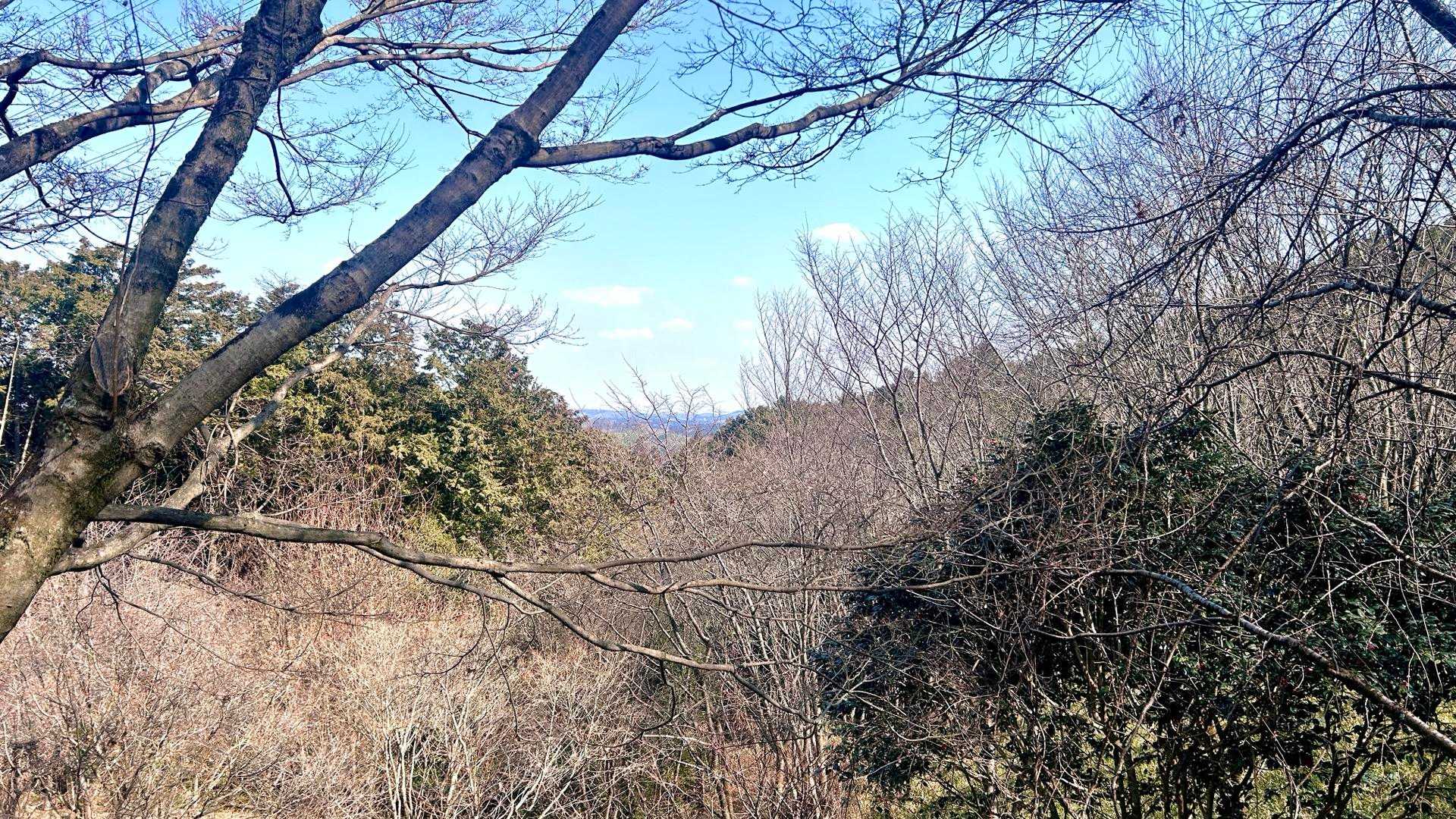 歩き始めて直ぐ左に入る登山道は帰りに通るのでスルーします。とりあえず、お参りを先に…
アスファルトの道の途中に少し🤏だけ展望があるん