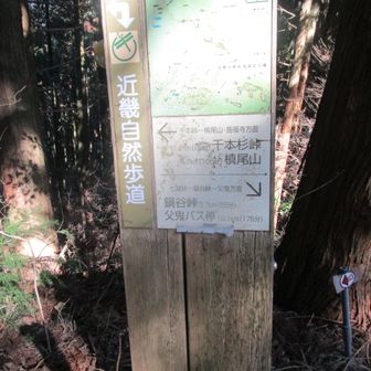 父鬼手前の分岐