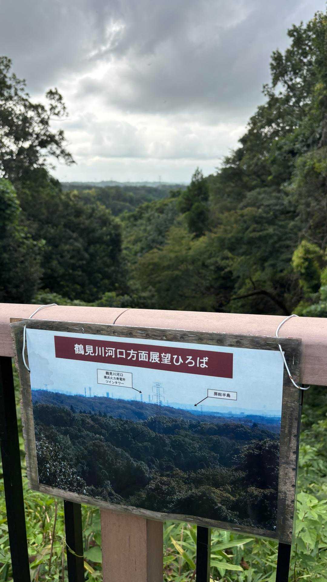 晴れていれば房総半島が見えるらしい