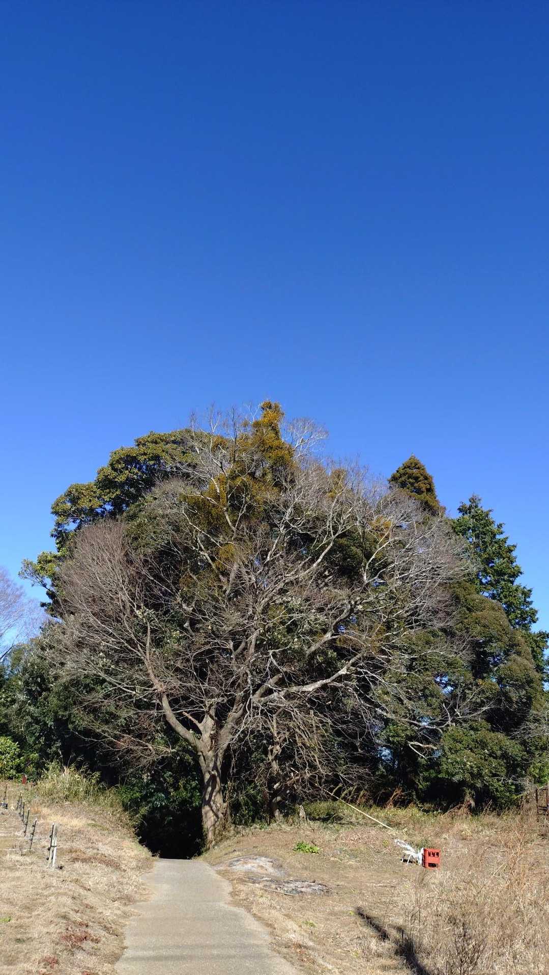 いい天気で良かった😊