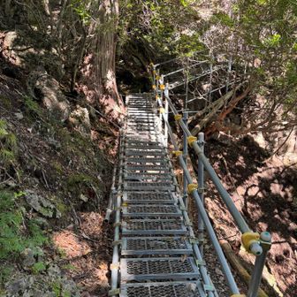 山頂付近は仮設の足場が沢山あります