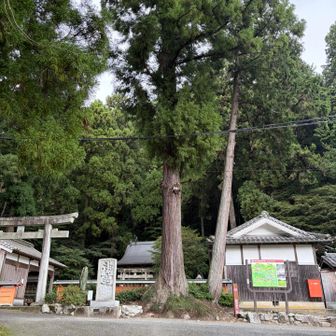 雨止んでる〜🙌