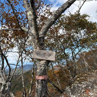 欲張って🤭

八丁山⛰️🙌