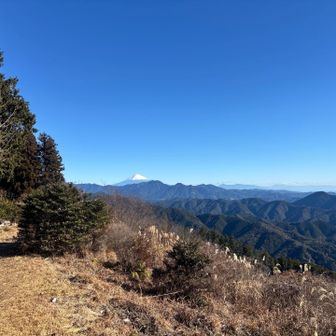 富士山見えます