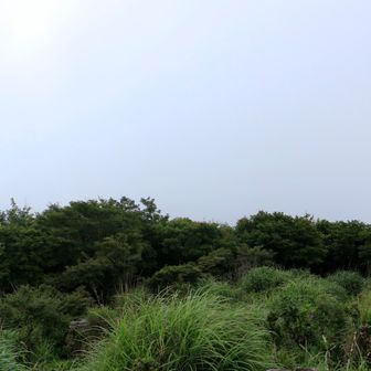 真っ白！