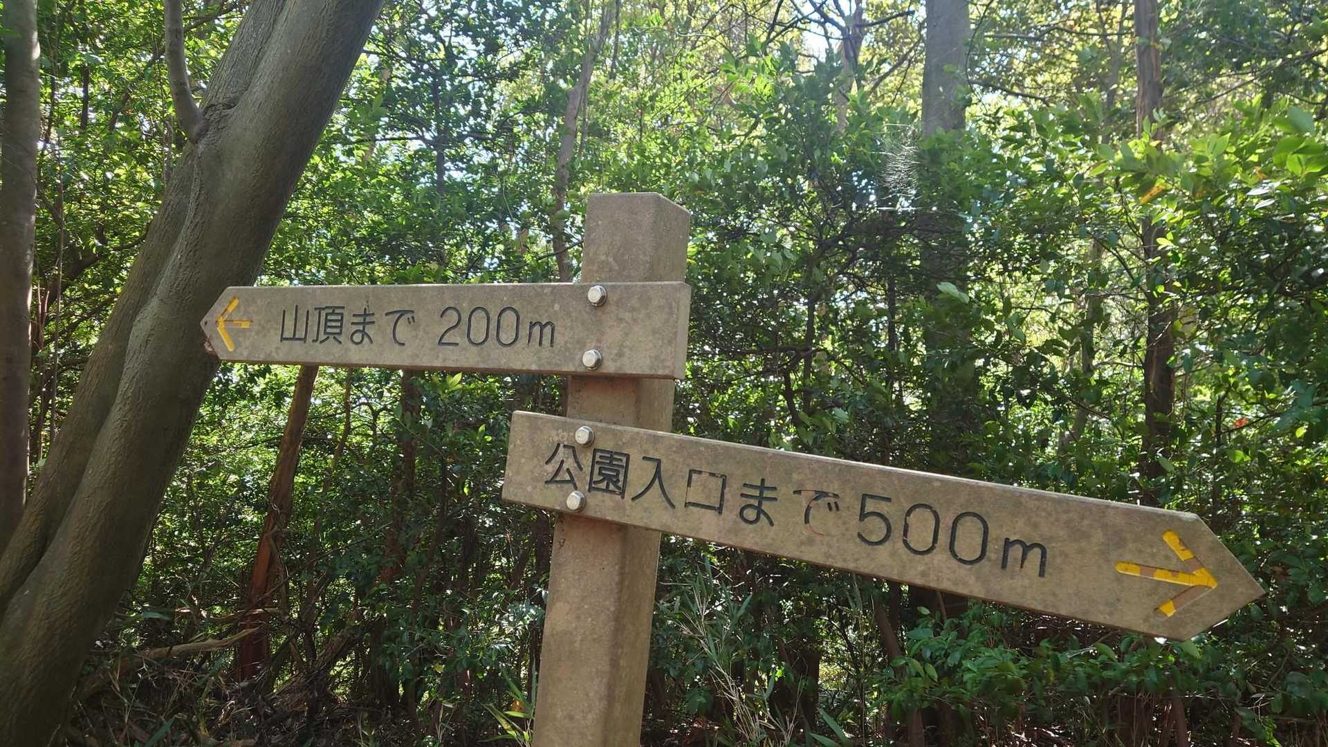 八条山 往復コースの写真