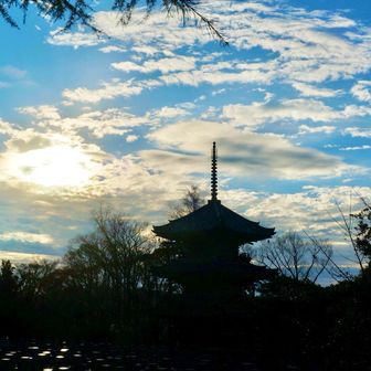 ええ天気になりました☀️