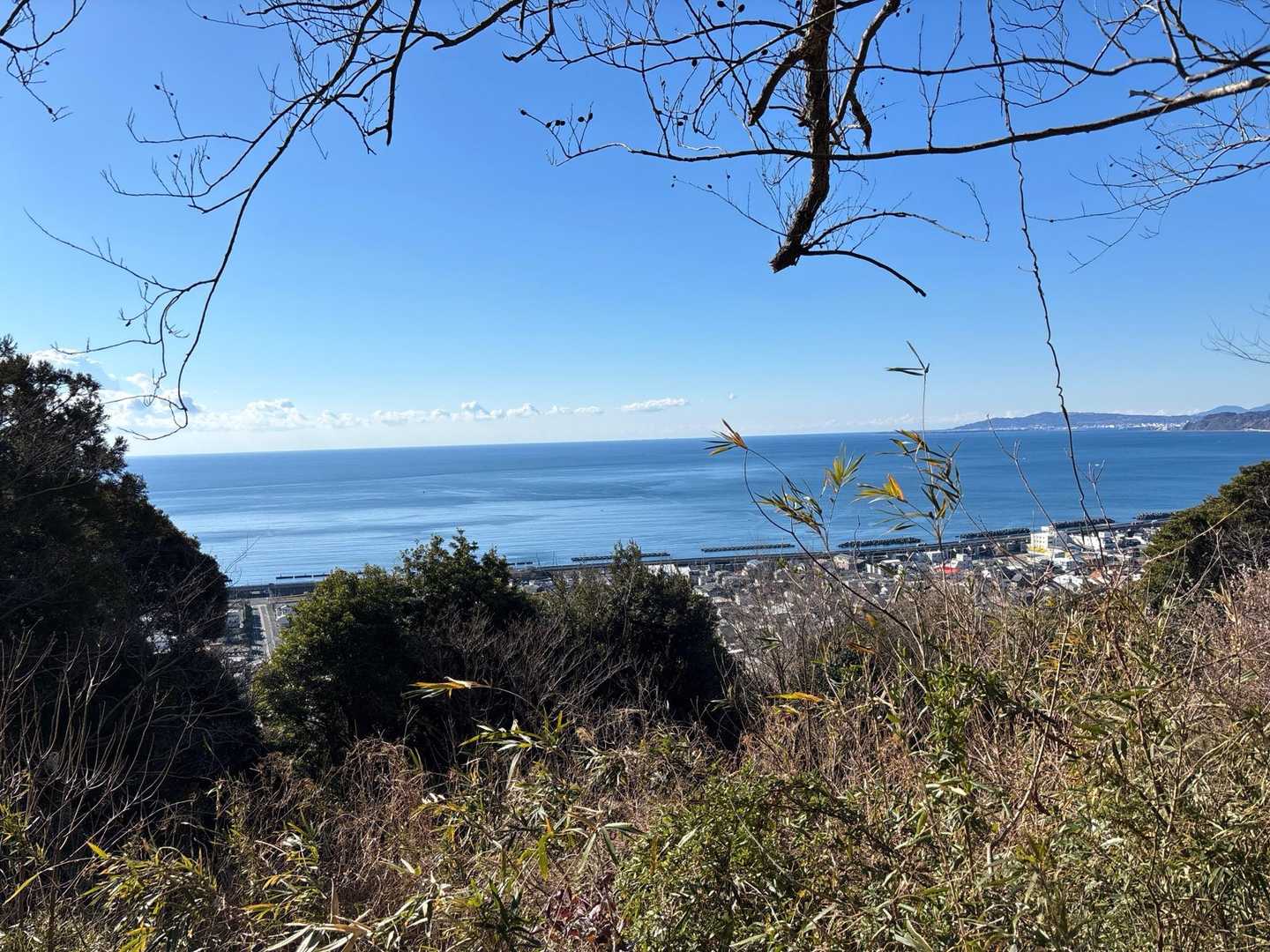 駿河湾が一望できます