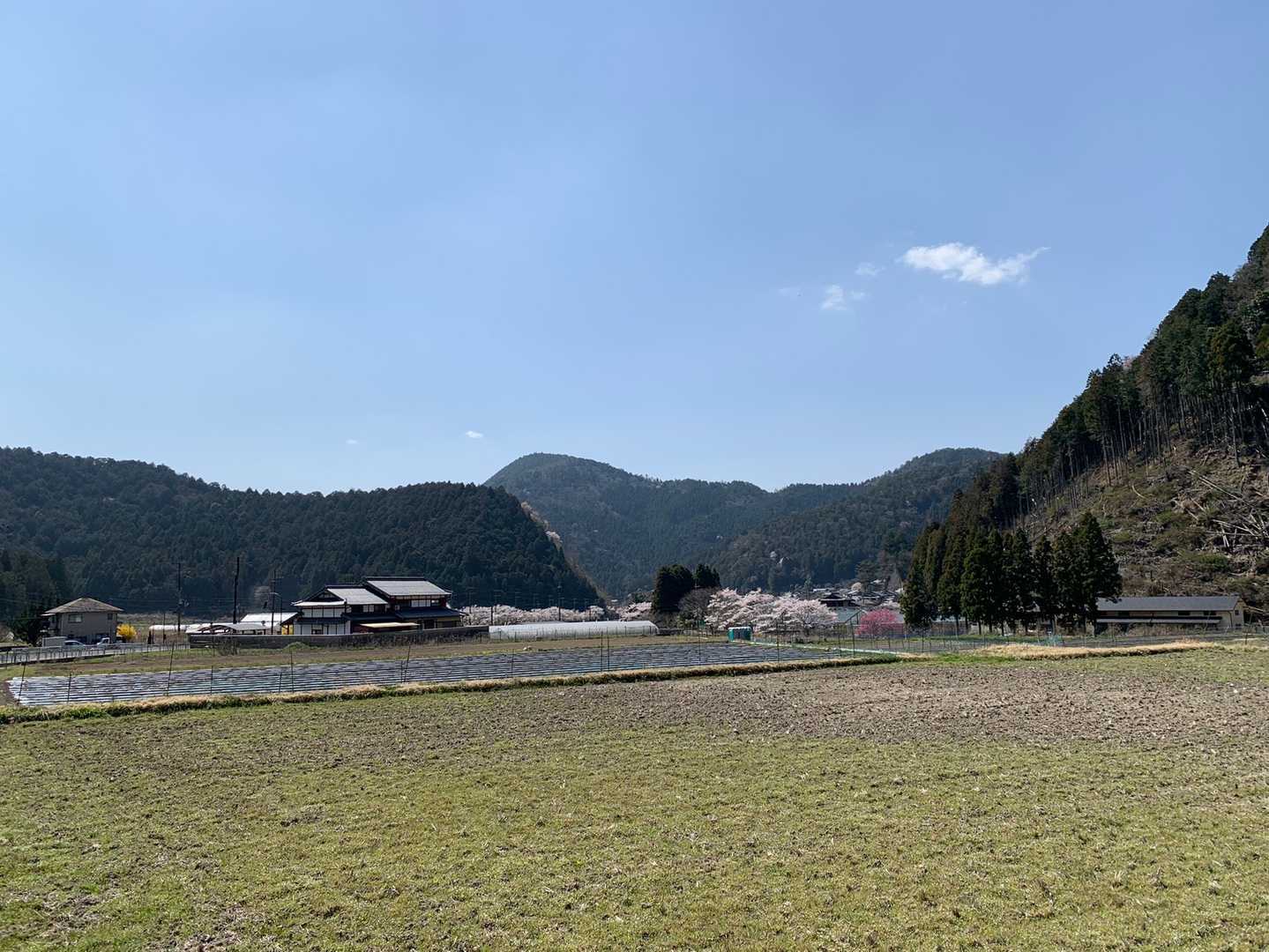 山里ののどかな事。