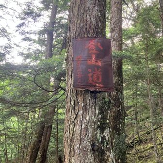 25、瑞牆山へ⑳
道中にあっためっちゃベテランそうな案内看板。シブいぜ