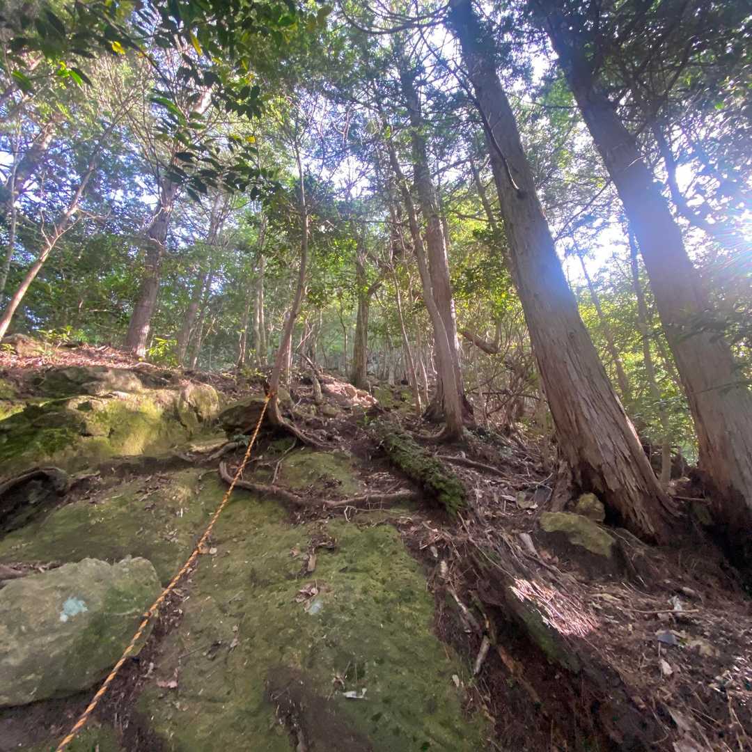 斜度のある登山道です
途中には岩も現れます
もう少し登ると展望台に立ちます