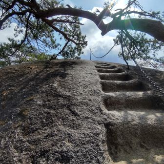 爆笑必至の寛平ちゃん登法でしたが、何度もスベってしまいました😭
血イ出したろかぁ😭

指などから出血しましたが大事には至らず、なんとか立派な登山道に復帰できました。