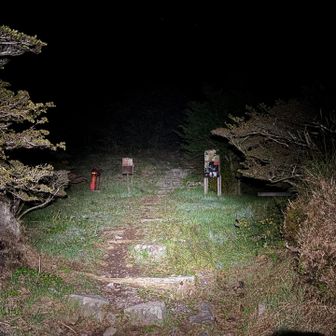 ここから、蜘蛛の巣タイム🕸️