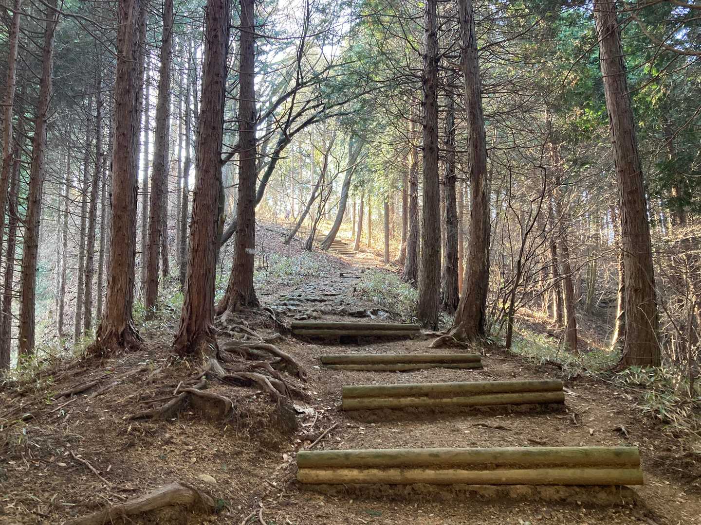 山頂までもう少し。。