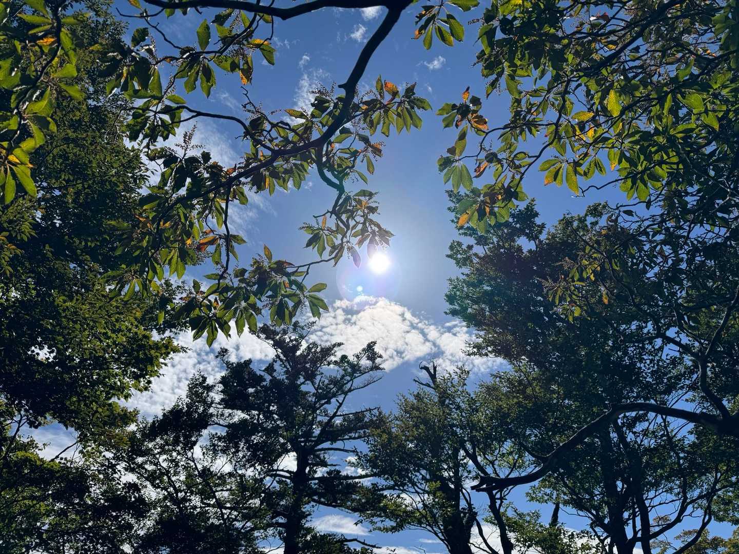 久しぶりに感じるお天気の山行。
太陽が気持ち良い😊