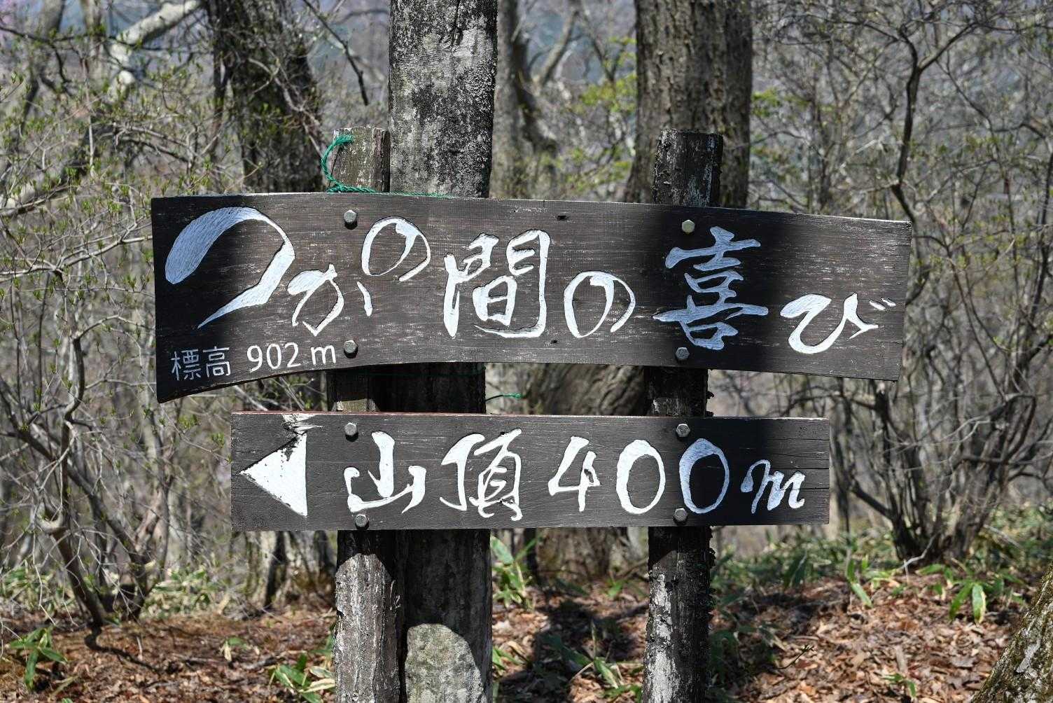 権太倉山 周回コースの写真