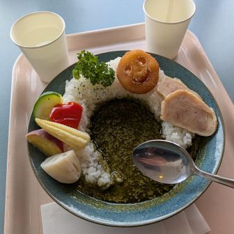 限定グリーンカレー🍛
やばいよ？やばいよ？

ダイエット中なのに！
カロリー取り過ぎた！

明日こそは、何処かに登りに行こうと！
