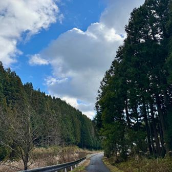 渡った先は道路