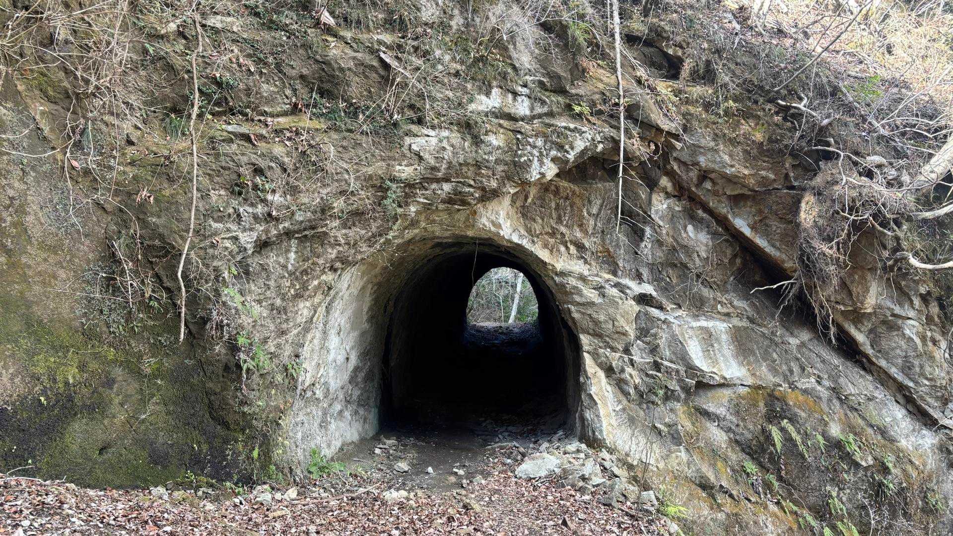 石射太郎-高宕山-八良塚-広場 周回コースの写真