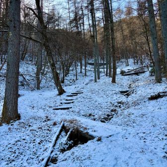 しっかり雪です☃️
