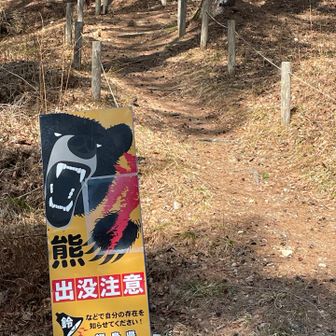 山頂には、行かずに
ぐるんとハートレイク💙歩きましょう


あるある　いつもの☝️
おっかい看板　ガオ〜って🐻

今年は、どうなる🧸🧸🧸⁇⁇