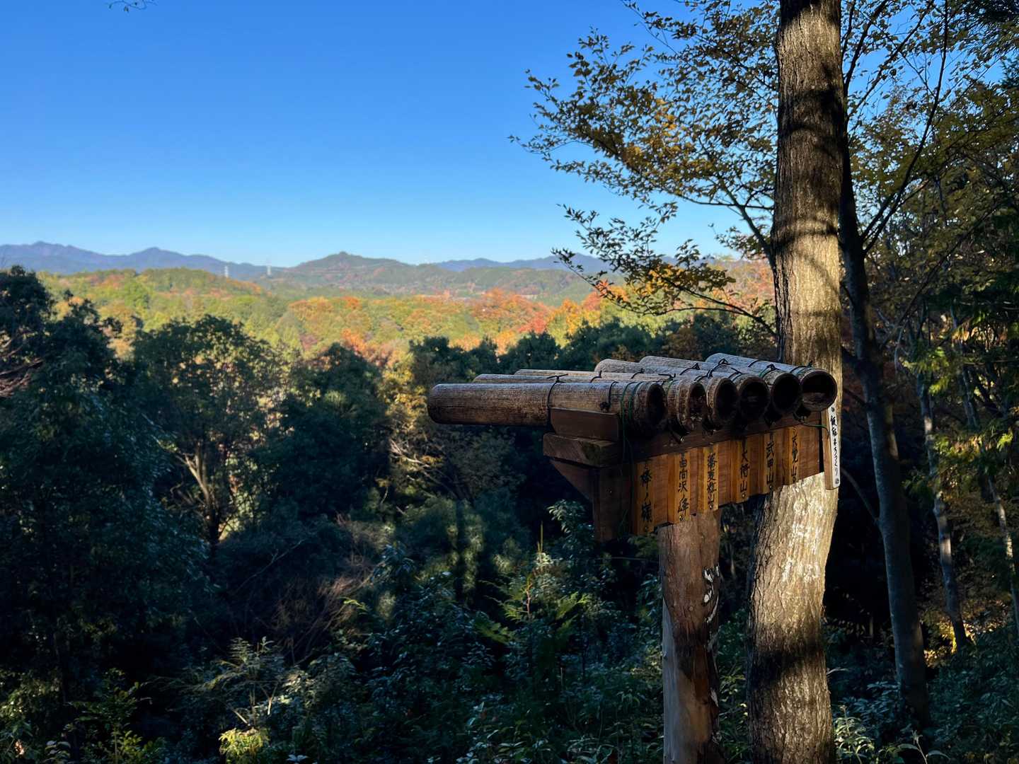 遠望