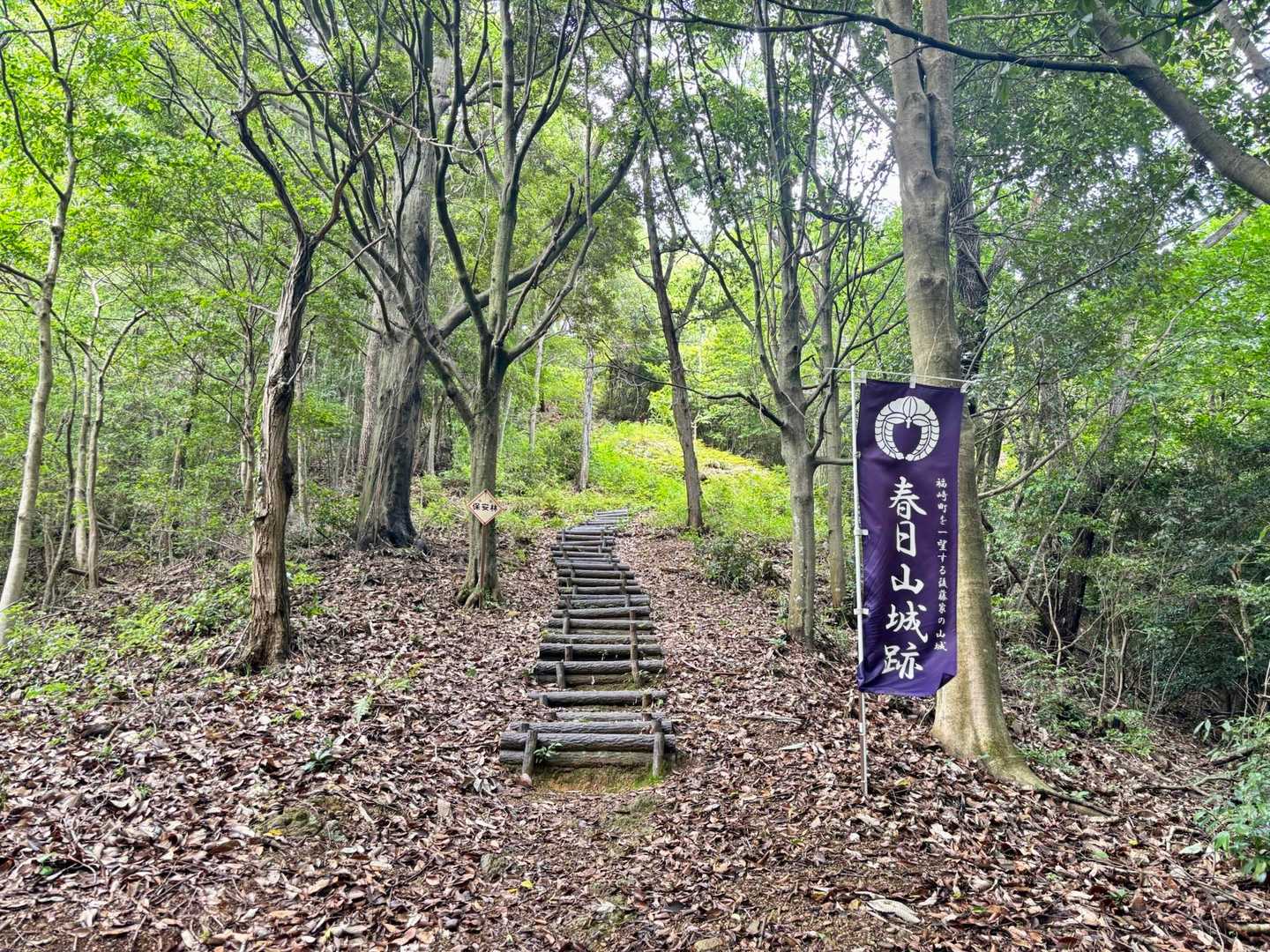 すぐそこ。
急ではあるけど階段が整備されている。