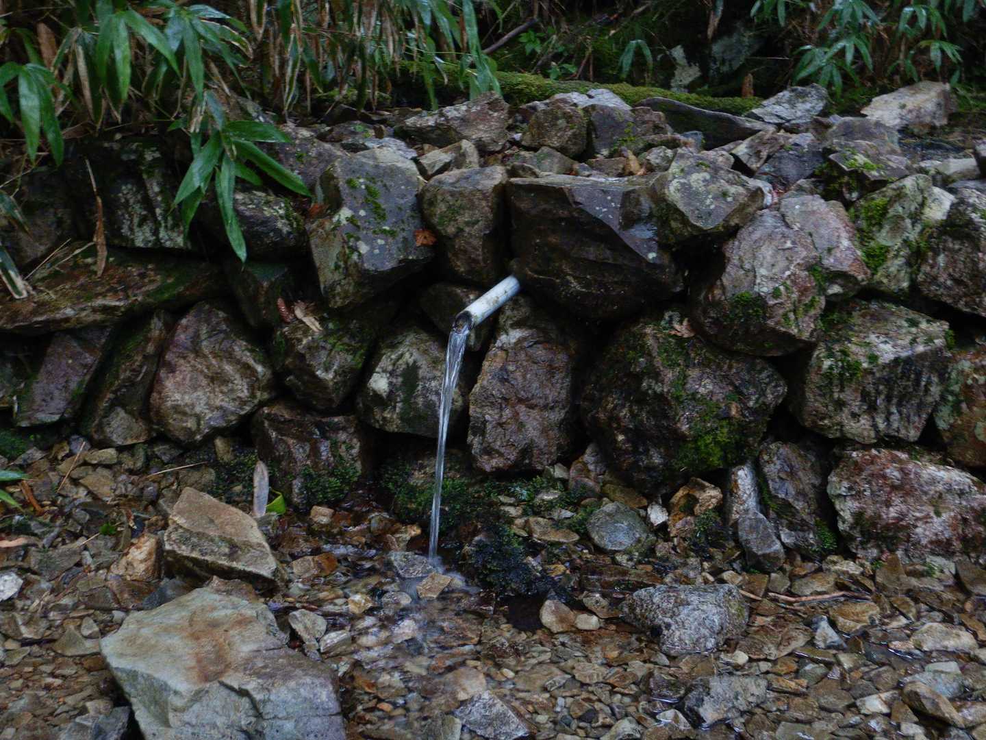 水は良く出ています
