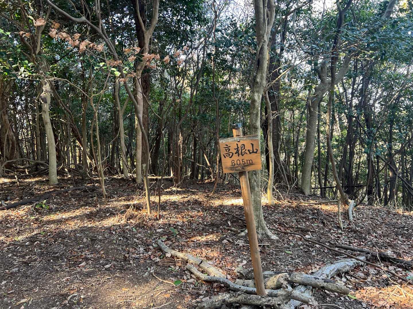 石畳ふれあい広場バス停-取付-高根山-折平山-北曽木石畳口 周回コースの写真