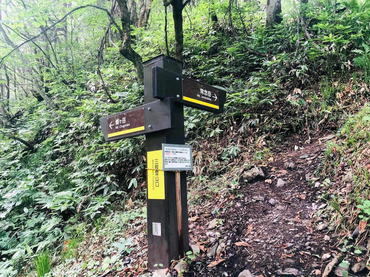 ありがと山でした！