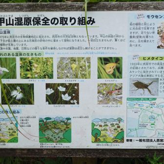「甲山湿原保全の取り組み」🤔