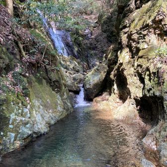 滝の近くに行ってみた
夏頃に来た時はメマトイと暑さにうんざりしたが
今日は多少の虫が顔によって来るが涼しくて気持ちいい！