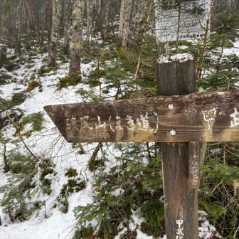 マキで下山するわよ！