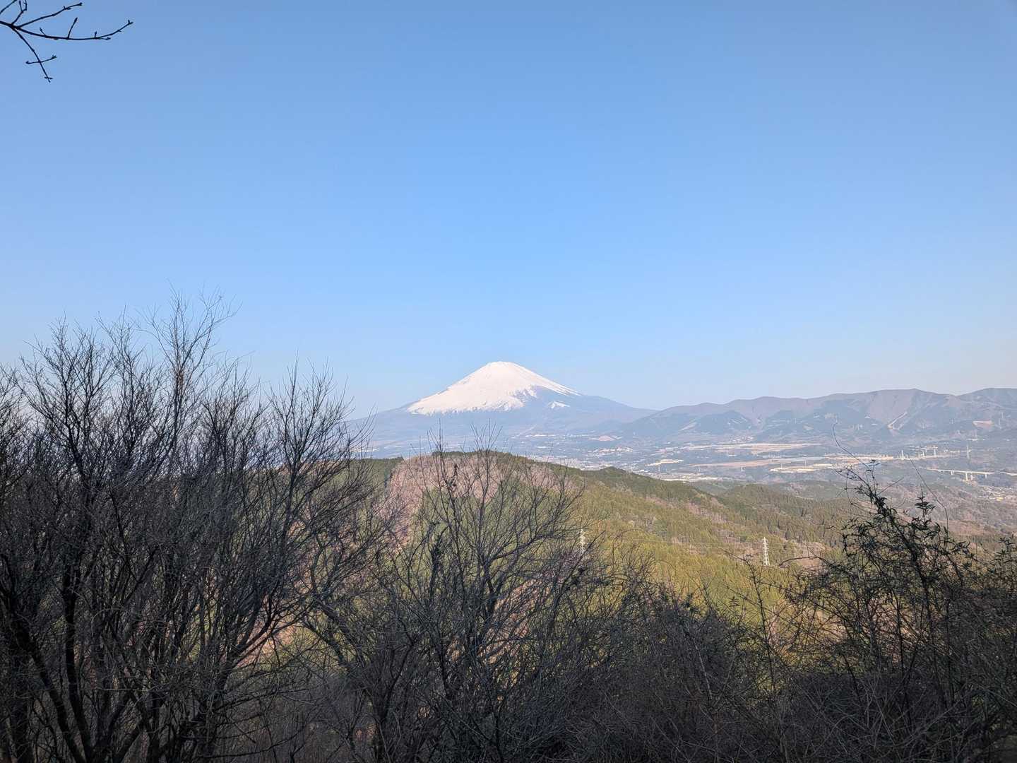 矢倉岳 | 富士山の壮大な姿を仰ぐ、新緑と秋の紅葉に包まれる静かな周回ルートの写真